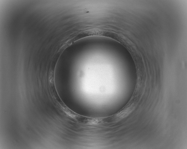 X0000075810096200609291356