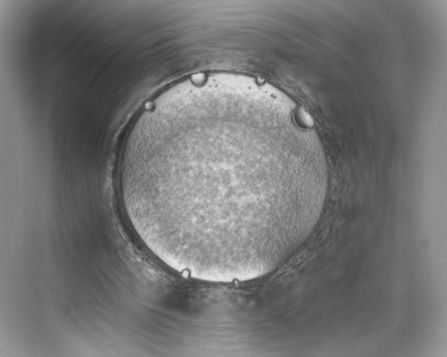 X0000075810098200609291355