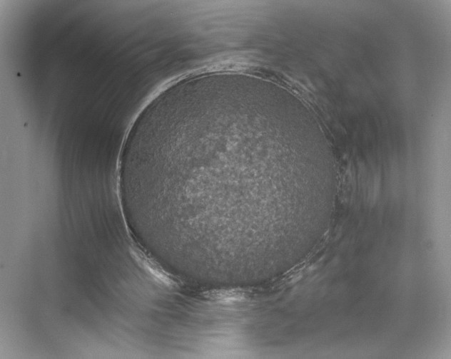 X0000075810100200609291355