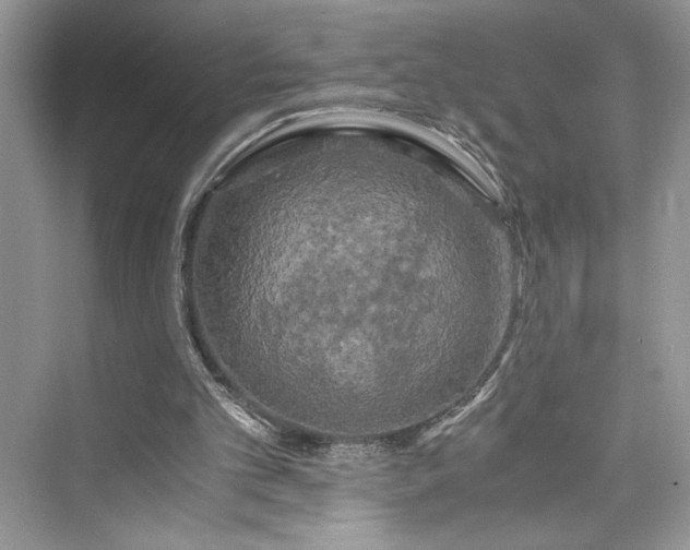 X0000075810101200609291355