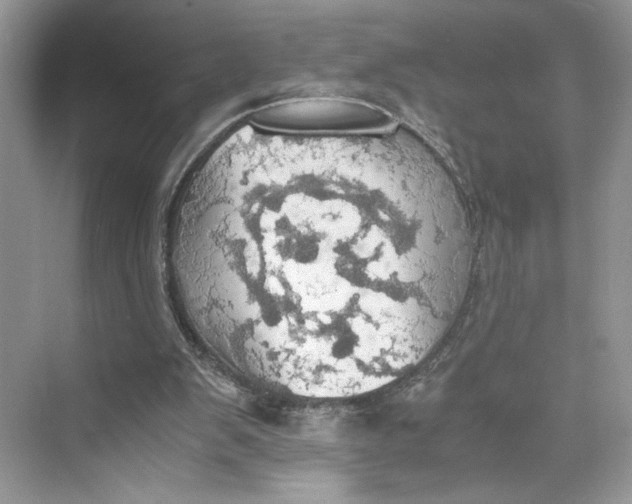 X0000075810103200609291355