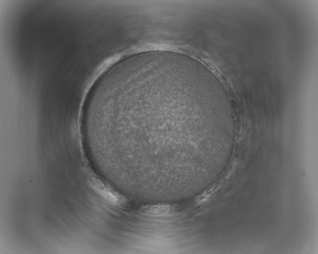 X0000075810104200609291355