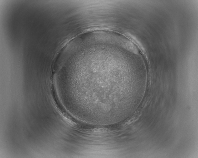 X0000075810105200609291355