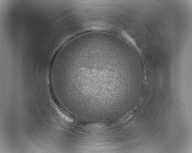 X0000075810106200609291355