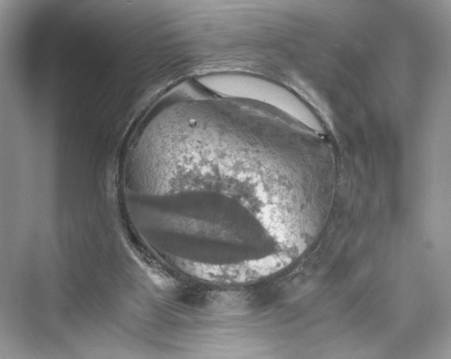 X0000075810107200609291355