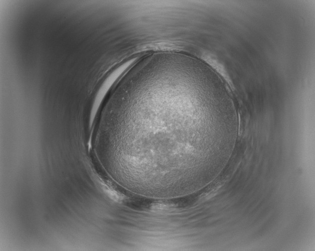 X0000075810109200609291355