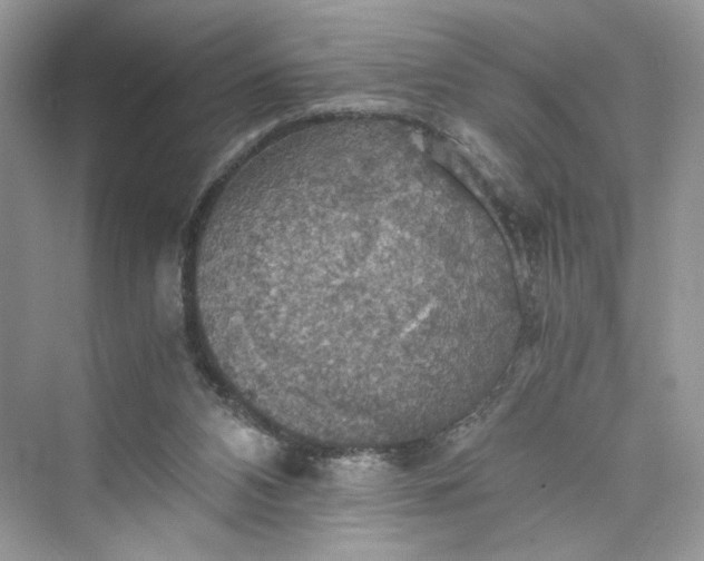 X0000075810112200609291355