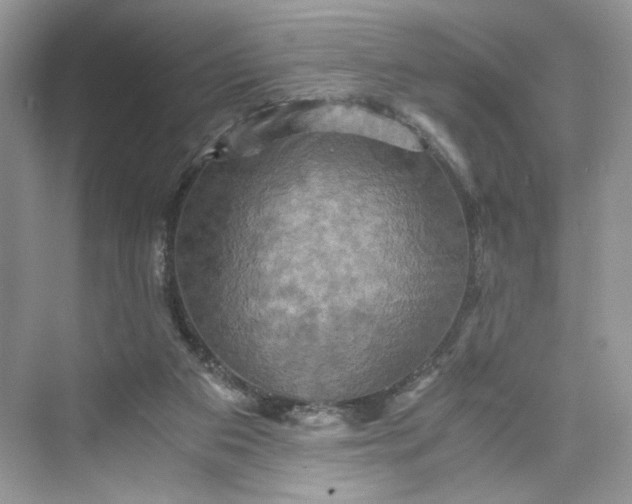 X0000075810113200609291355