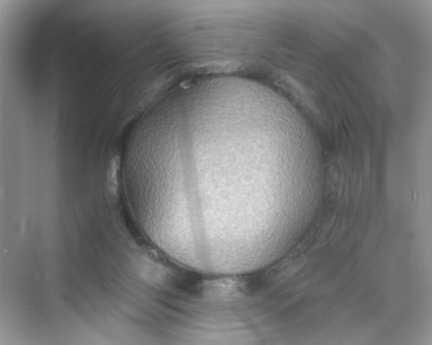 X0000075810118200609291355