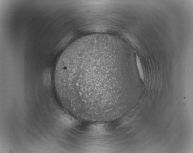 X0000075810120200609291355