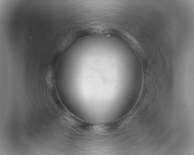 X0000075810121200609291355