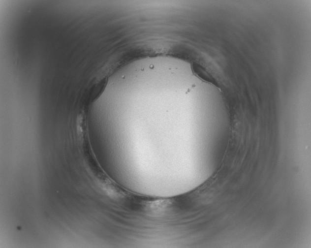 X0000075810122200609291355