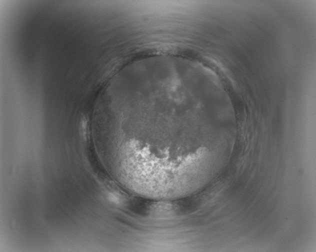 X0000075810123200609291355