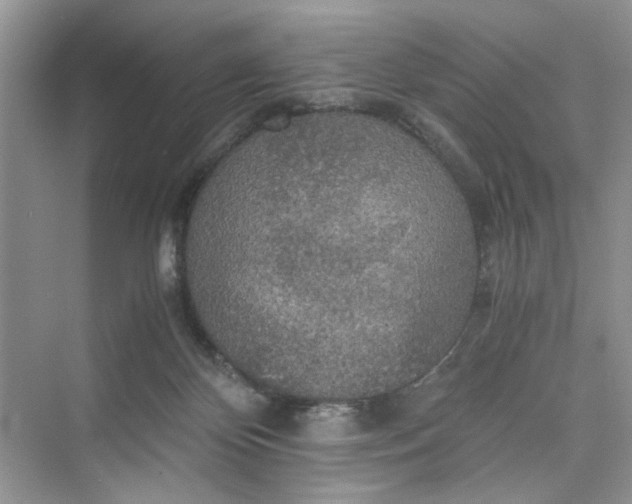 X0000075810124200609291355