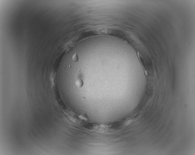 X0000075810125200609291355