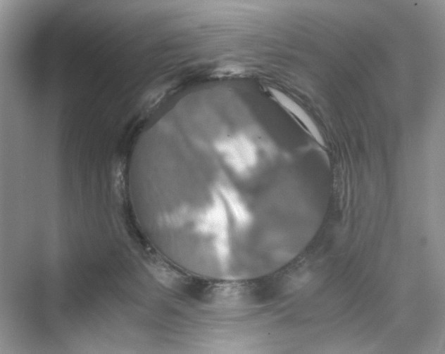 X0000075810127200609291355