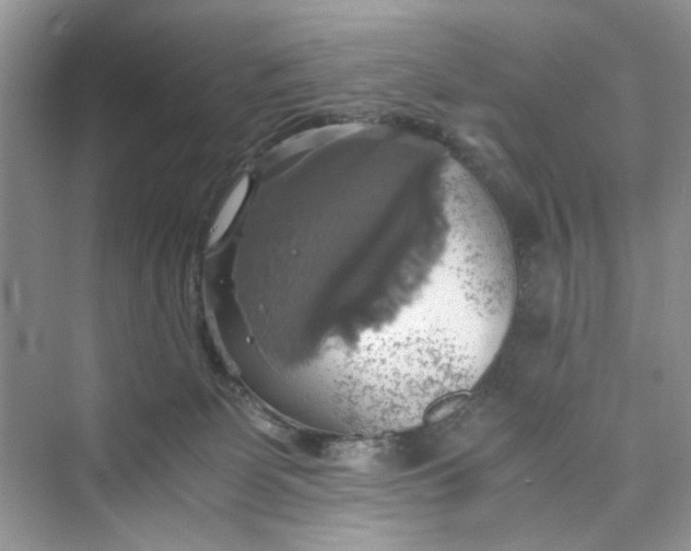 X0000075810131200609291355