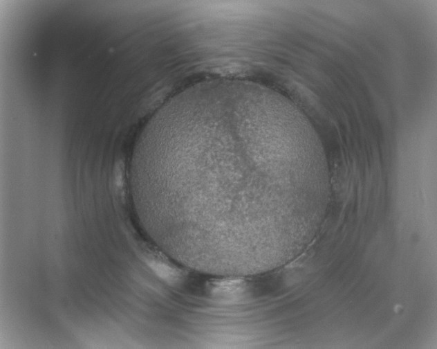 X0000075810132200609291355