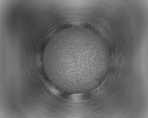 X0000075810136200609291355