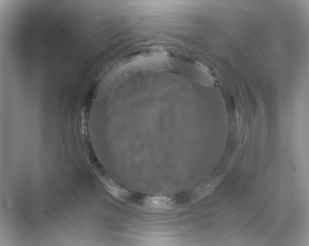 X0000075810137200609291355