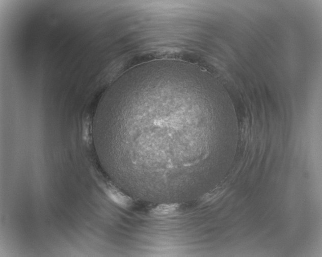 X0000075810138200609291355