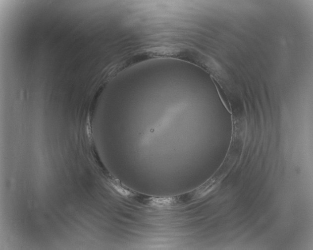 X0000075810143200609291355