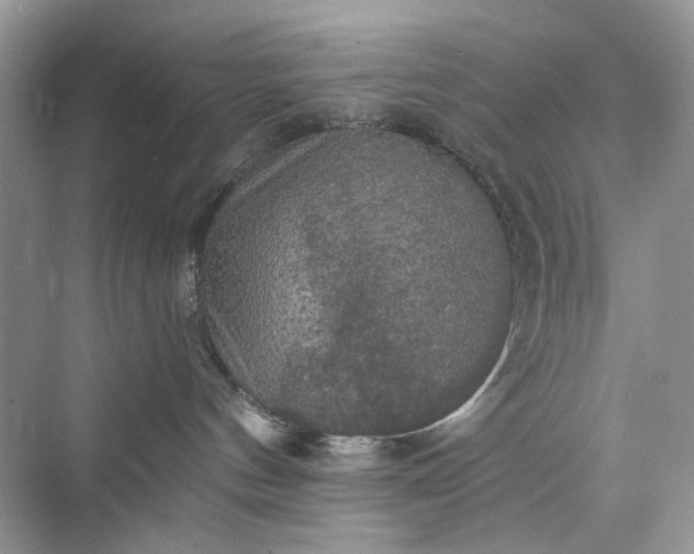 X0000075810144200609291355