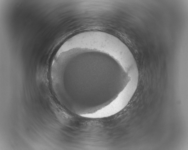 X0000075810146200609291354