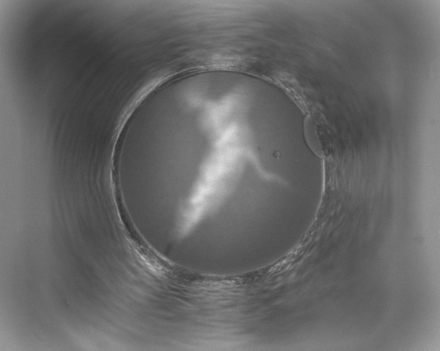 X0000075810147200609291354