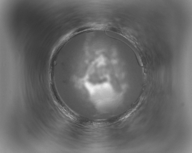 X0000075810149200609291354