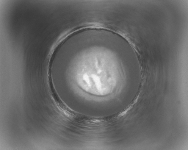 X0000075810151200609291354