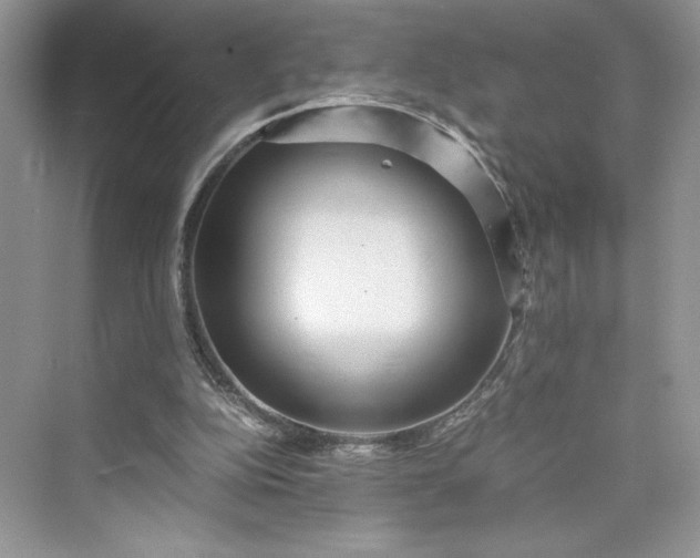 X0000075810152200609291354