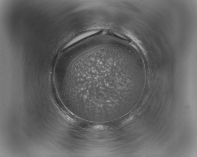 X0000075810153200609291354