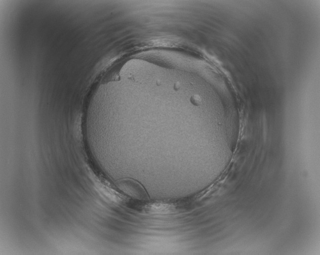 X0000075810154200609291354