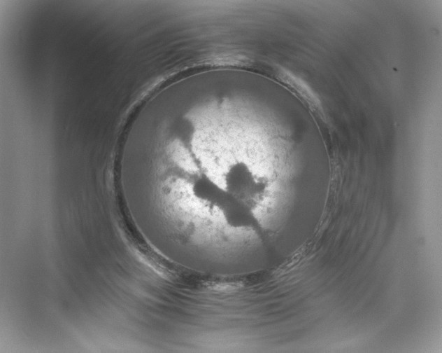 X0000075810155200609291354