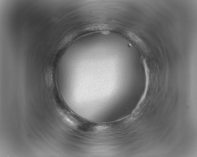 X0000075810158200609291354