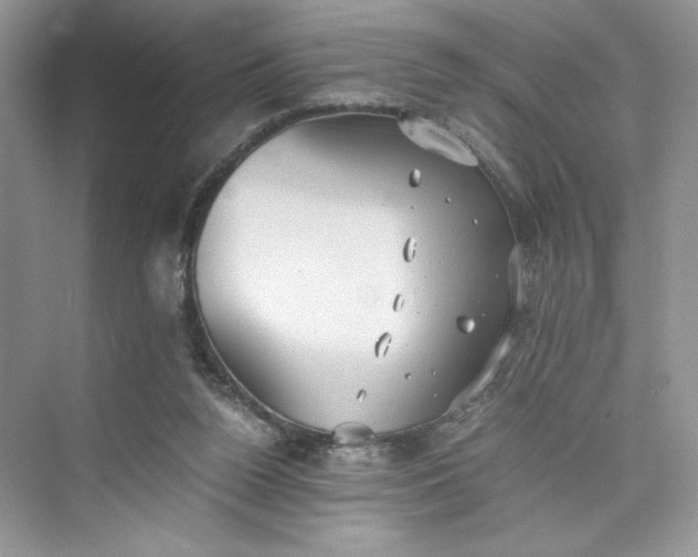 X0000075810160200609291354