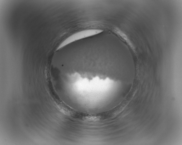 X0000075810161200609291354