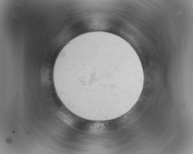 X0000075810162200609291354