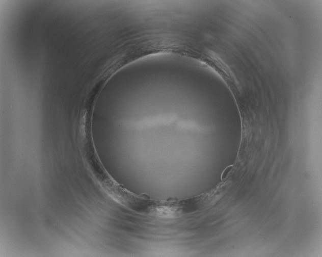 X0000075810163200609291354