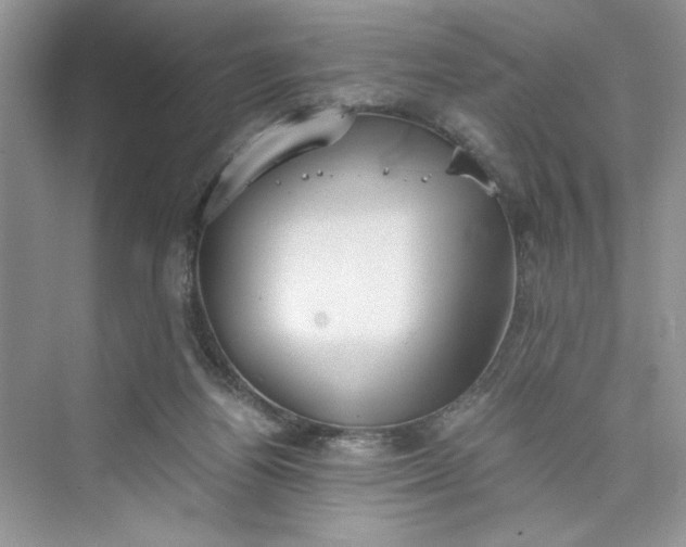 X0000075810164200609291354