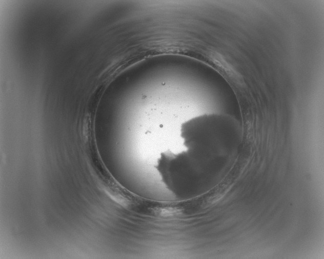 X0000075810165200609291354