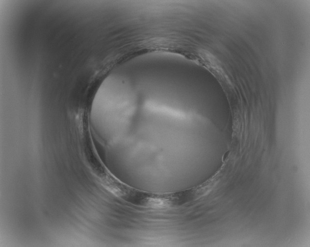 X0000075810167200609291354