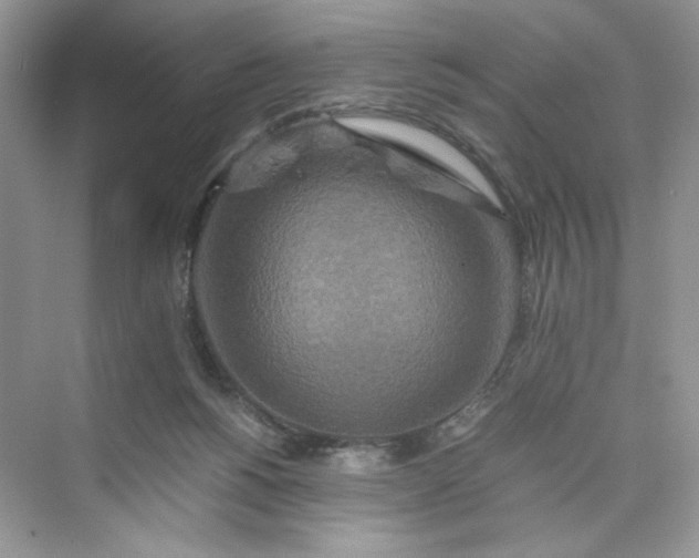 X0000075810168200609291354