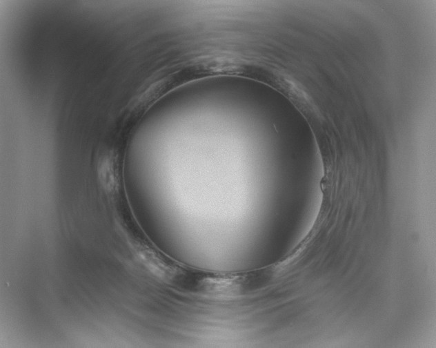 X0000075810170200609291354