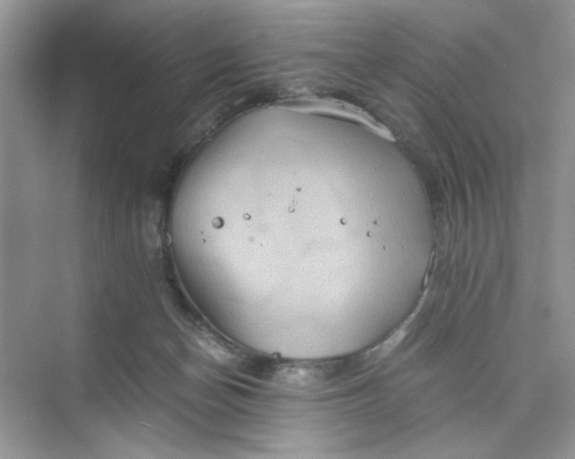 X0000075810174200609291354