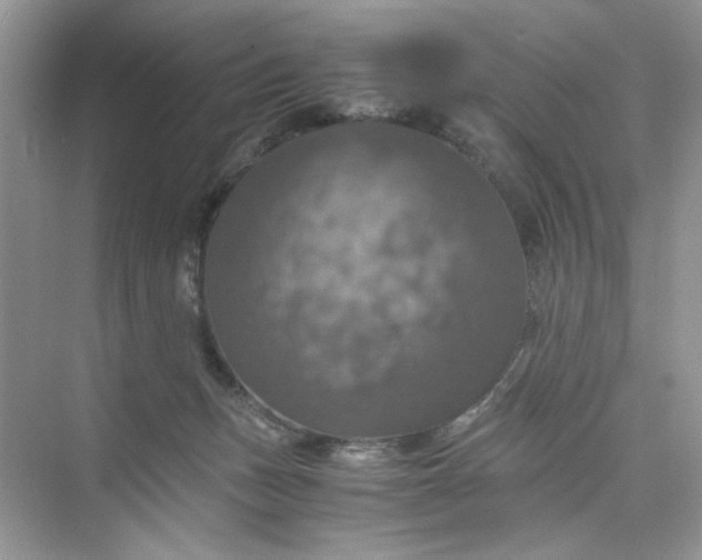 X0000075810175200609291354