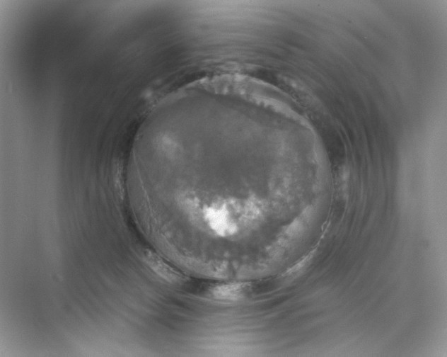 X0000075810178200609291354