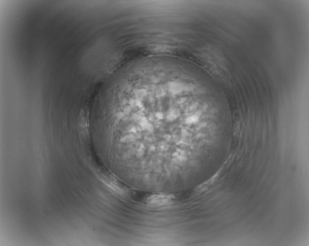 X0000075810179200609291354