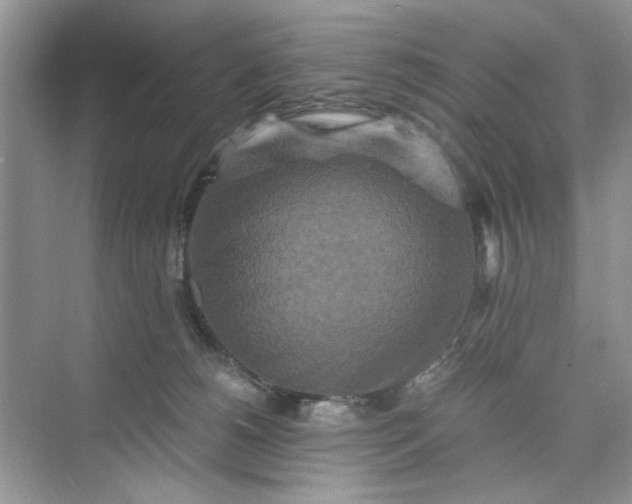 X0000075810180200609291354